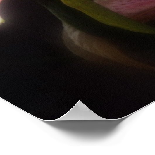 stargazer leugens #15 poster (Hoek)