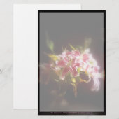 stargazer leugens #31 briefpapier (Voorkant / Achterkant)