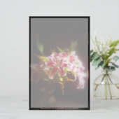 stargazer leugens #31 briefpapier (Staand voorkant)