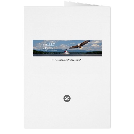 Stargazer Lilies (Achterkant)