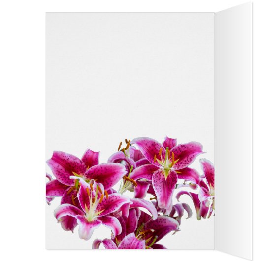 Stargazer Lilies (Binnen (Links))