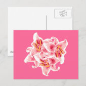 Stargazer Lilies Briefkaart (Voorkant / Achterkant)