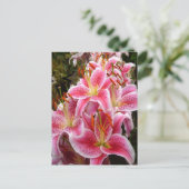 "Stargazer" Lilies Briefkaart (Staand voorkant)