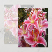 "Stargazer" Lilies Briefkaart (Voorkant / Achterkant)