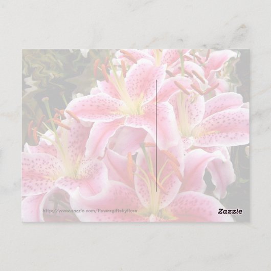 "Stargazer" Lilies Briefkaart (Achterkant)