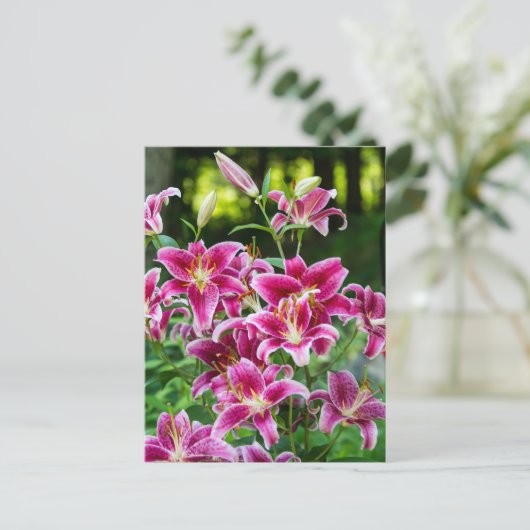 Stargazer Lilies Briefkaart (Staand voorkant)