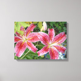 Stargazer Lilies Garden Floral Canvas Afdruk