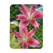 Stargazer Lilies Garden Floral Magneet (Verticaal)