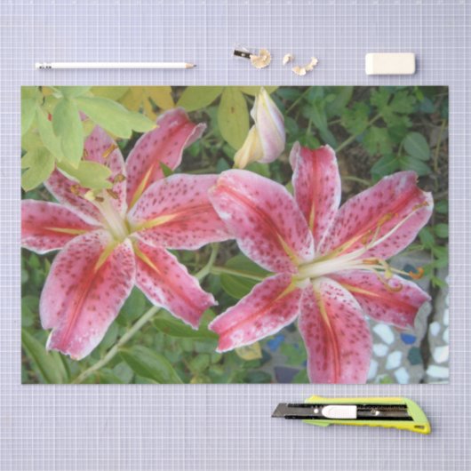 Stargazer Lilies Garden Floral Tissuepapier (Craft)