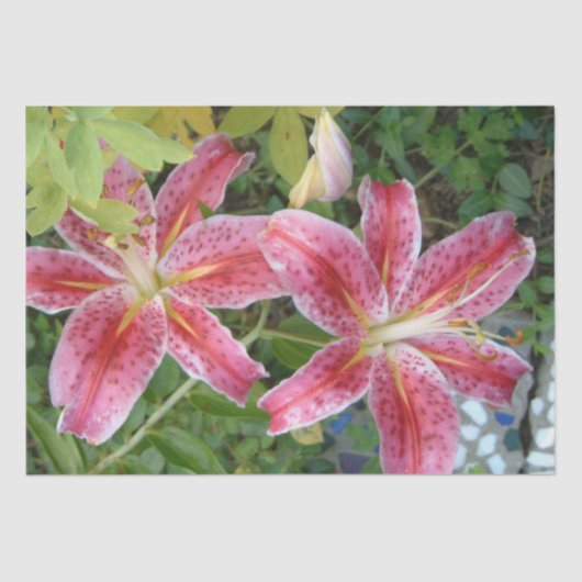 Stargazer Lilies Garden Floral Tissuepapier (Voorkant)