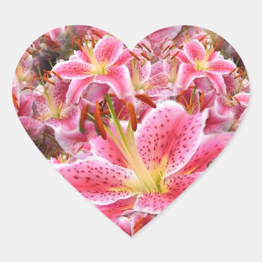 "Stargazer" Lilies Hart Sticker (Voorkant)