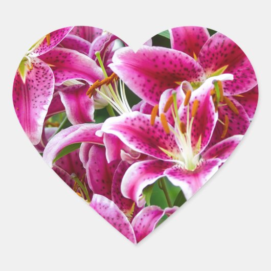 Stargazer Lilies Hart Sticker (Voorkant)