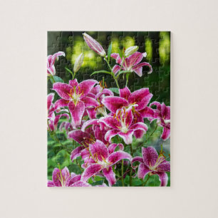 Stargazer Lilies Legpuzzel