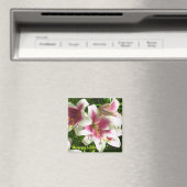 Stargazer Lilies Magnet (Insitu (Vaatwasser))