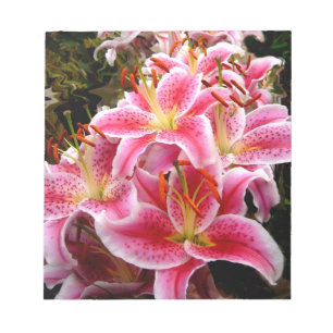 "Stargazer" Lilies Notitieblok