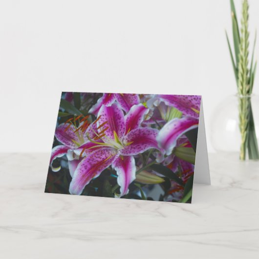Stargazer Lilies Pink & Magenta Kaart (Voorkant)