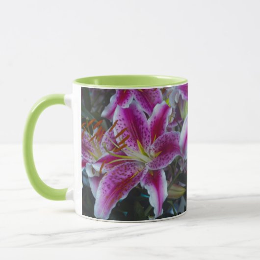 Stargazer Lilies Pink & Magenta Mok (Links)
