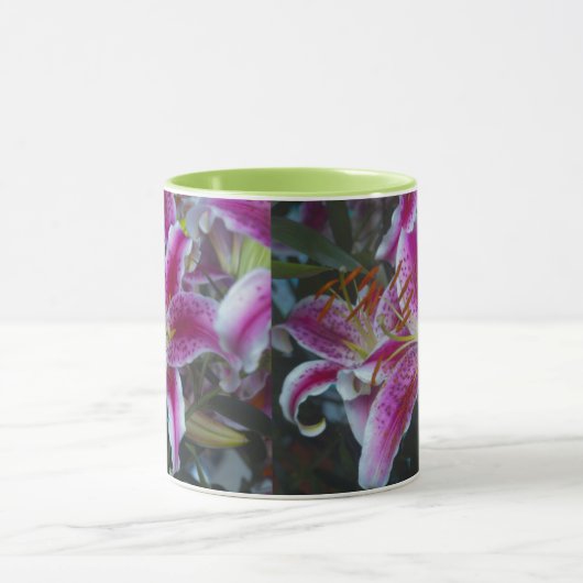 Stargazer Lilies Pink & Magenta Mok (Midden)