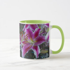 Stargazer Lilies Pink & Magenta Mok