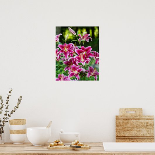 Stargazer Lilies Poster (Keuken)