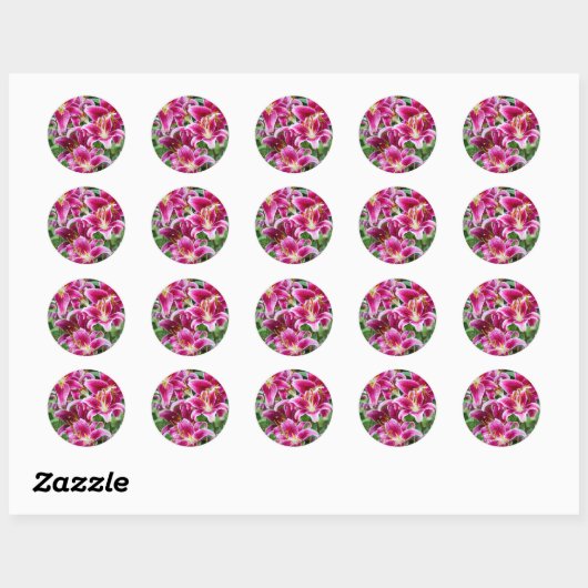 Stargazer Lilies Ronde Sticker (Vel)
