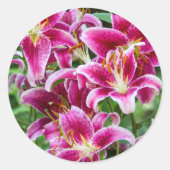 Stargazer Lilies Ronde Sticker (Voorkant)