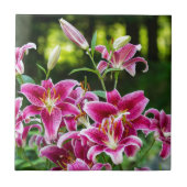 Stargazer Lilies Tegeltje (Voorkant)