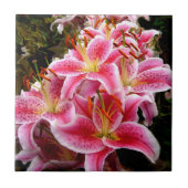 "Stargazer" Lilies Tegeltje (Voorkant)