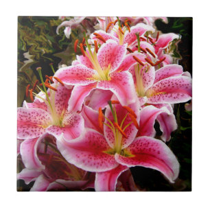 "Stargazer" Lilies Tegeltje