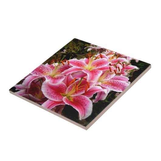 "Stargazer" Lilies Tegeltje (Zijkant)