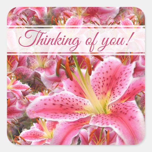 "Stargazer" Lilies Vierkante Sticker (Voorkant)