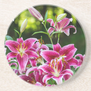 Stargazer Lilies Zandsteen Onderzetter