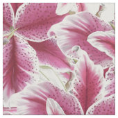 Stargazer Lilly Stof (Close Up)