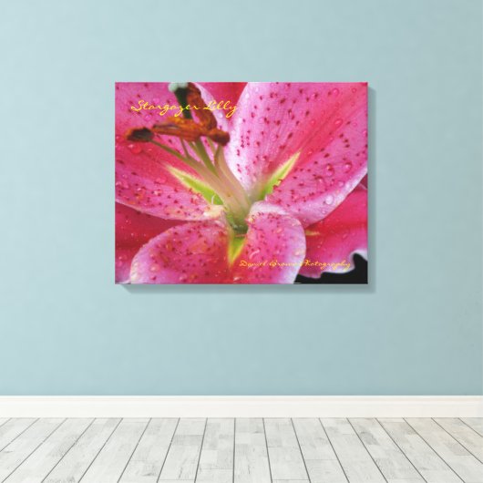 Stargazer Lilly Wrapped Canvas (Insitu (Houten vloer))