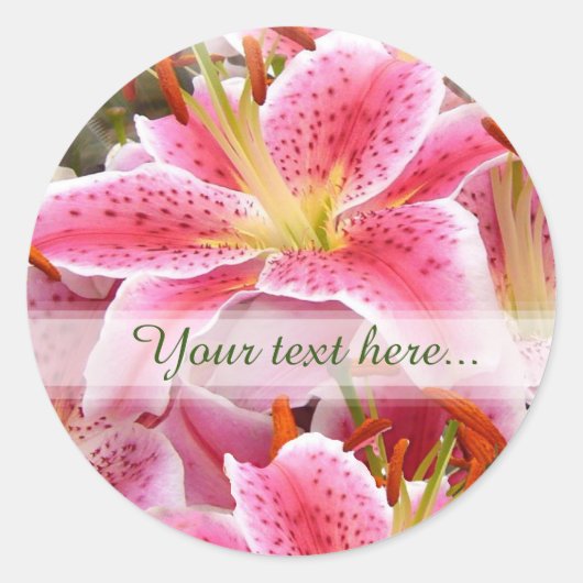 "Stargazer" Lily aangepaste tekst Classic ronde St Ronde Sticker (Voorkant)