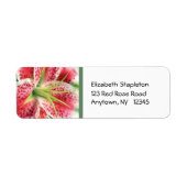 Stargazer Lily adreslabel Etiket (Voorkant)