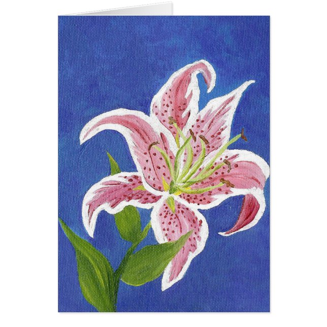 Stargazer Lily Blank (Voorkant)