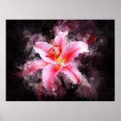 Stargazer Lily bloem waterverf - bb 01 Poster (Voorkant)