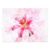 Stargazer Lily bloem waterverf - wb 01 Foto Afdruk (Voorkant)