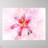 Stargazer Lily bloem waterverf - wb 01 Poster (Voorkant)