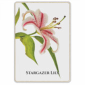Stargazer Lily Bloemenfotografie | Naam Sticker (Voorkant)