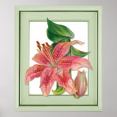 Stargazer Lily Botanical Poster (Voorkant)