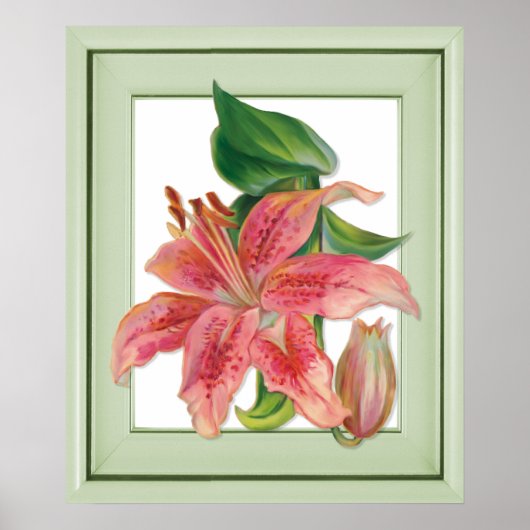 Stargazer Lily Botanical Poster (Voorkant)