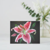 Stargazer lily briefkaart (Staand voorkant)