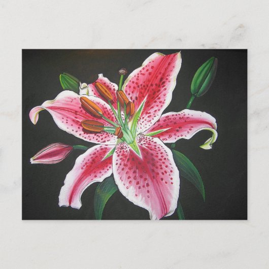 Stargazer lily briefkaart (Voorkant)