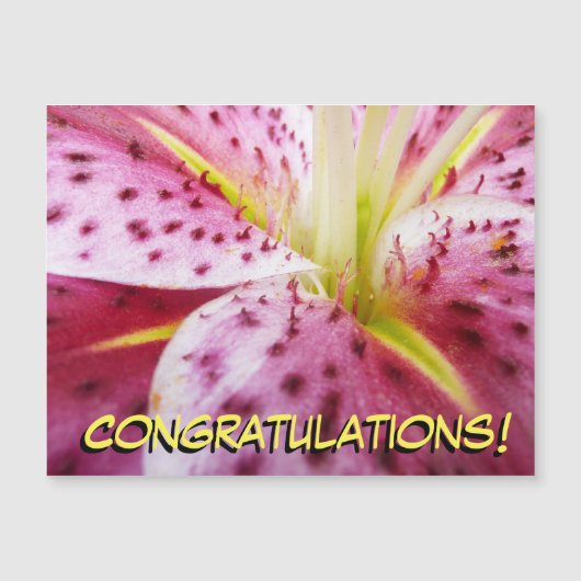 Stargazer Lily Bright Magenta Floral (Voorkant)