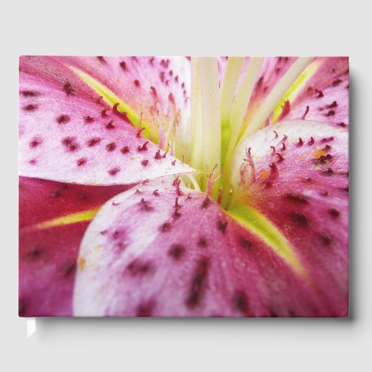 Stargazer Lily Bright Magenta Floral Gastenboek (Voorkant)