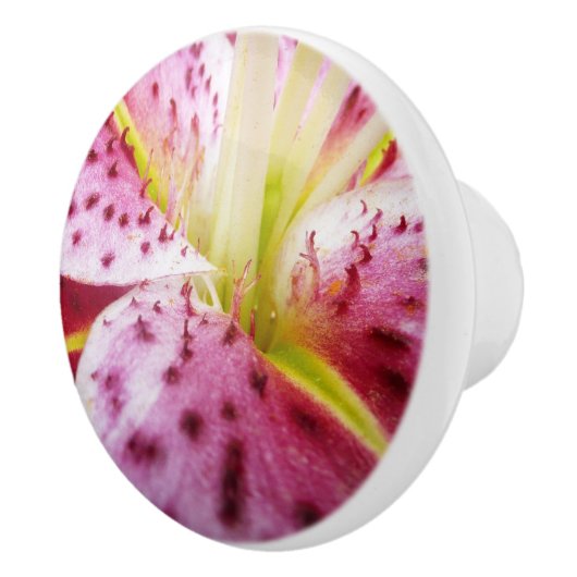 Stargazer Lily Bright Magenta Floral Keramische Knop (Rechts)