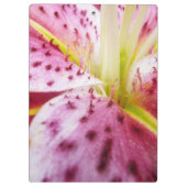 Stargazer Lily Bright Magenta Floral Klembord (Achterkant)
