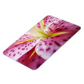 Stargazer Lily Bright Magenta Floral Magneet (Linkerzijde)